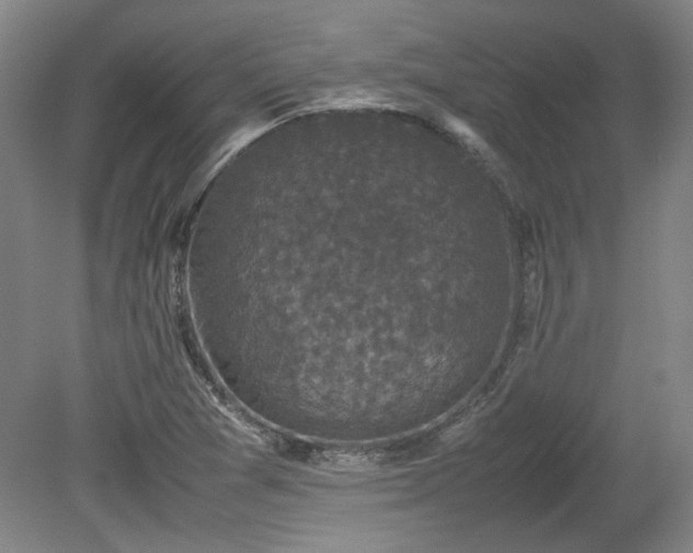 X0000078861361200611201302