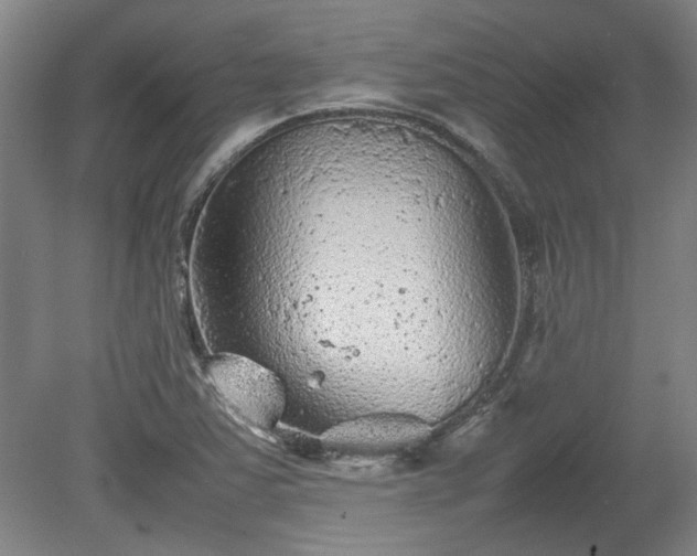 X0000078861363200611201302