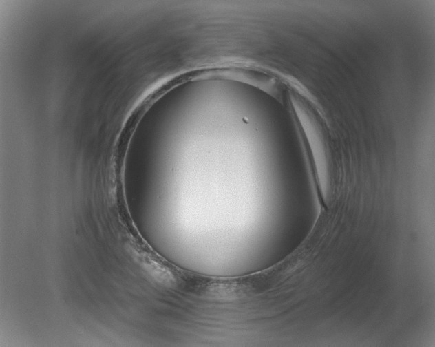 X0000078861364200611201302