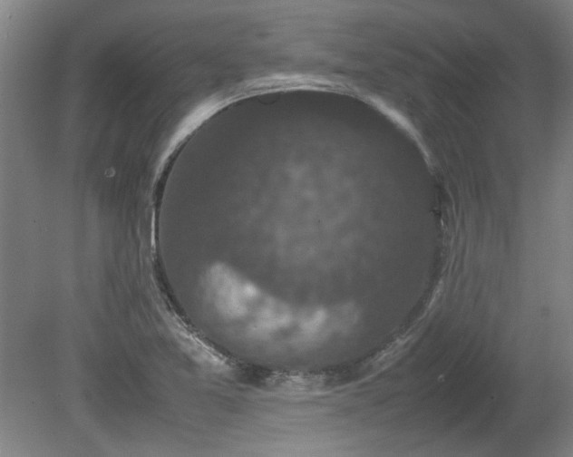 X0000078861365200611201302