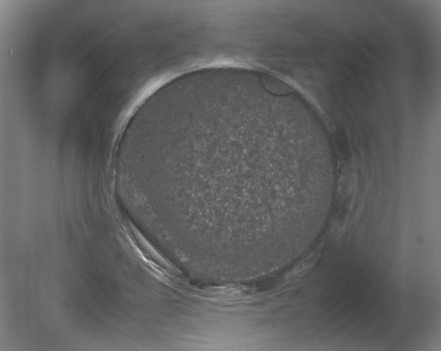 X0000078861367200611201302