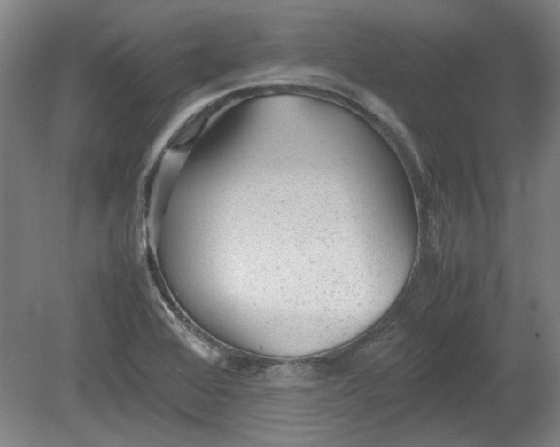 X0000078861368200611201302