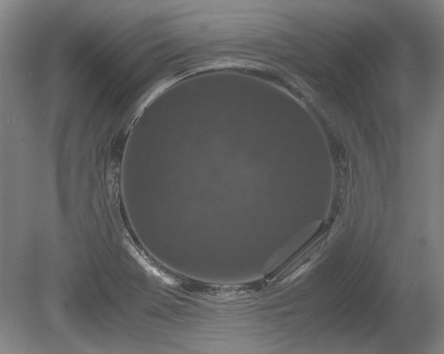 X0000078861369200611201302