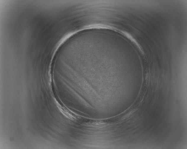 X0000078861372200611201302