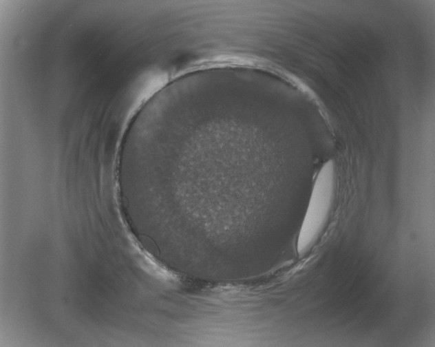 X0000078861373200611201302