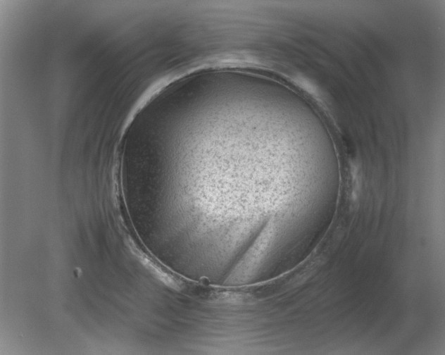 X0000078861374200611201302