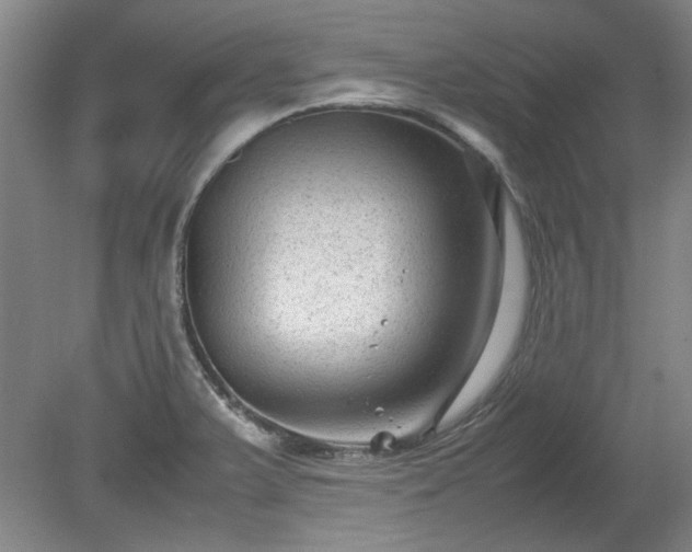 X0000078861375200611201302