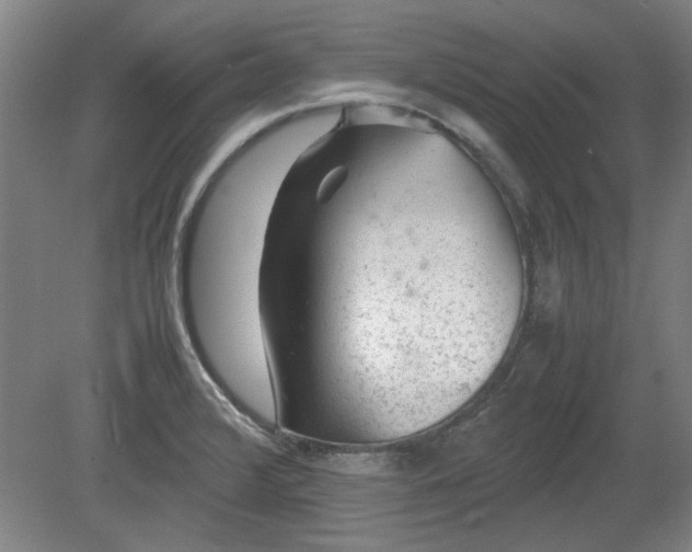 X0000078861376200611201302