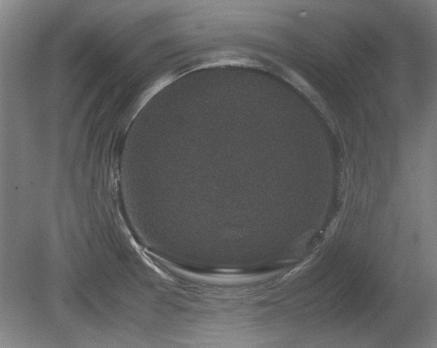 X0000078861377200611201302