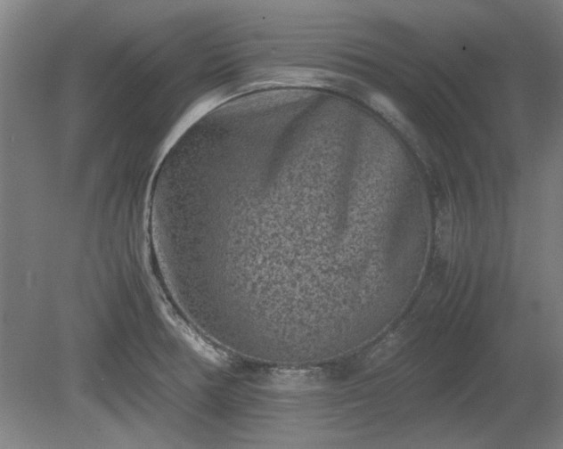 X0000078861378200611201302