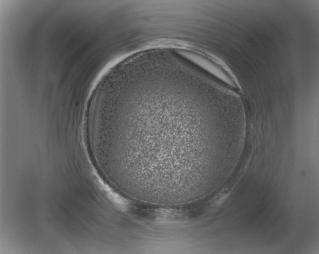 X0000078861379200611201302