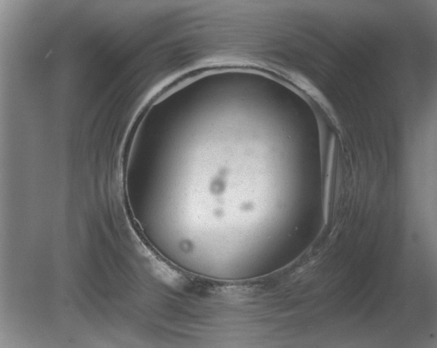 X0000078861380200611201302