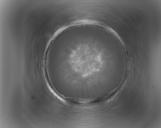 X0000078861381200611201302