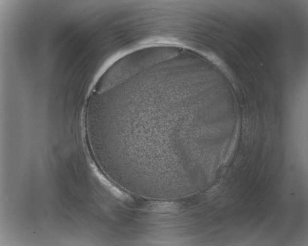 X0000078861382200611201302