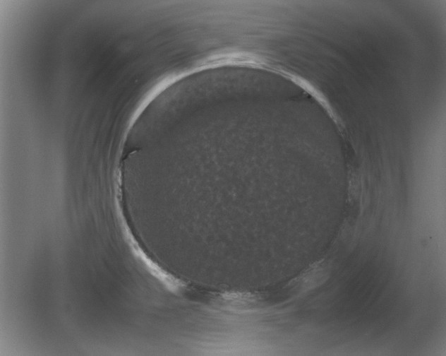 X0000078861383200611201302