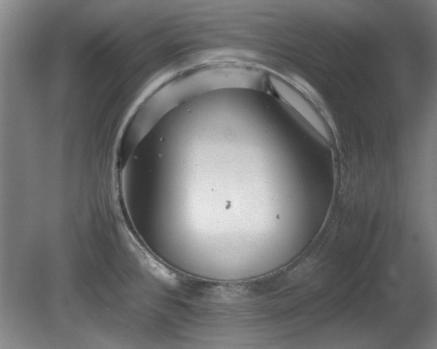 X0000078861384200611201302