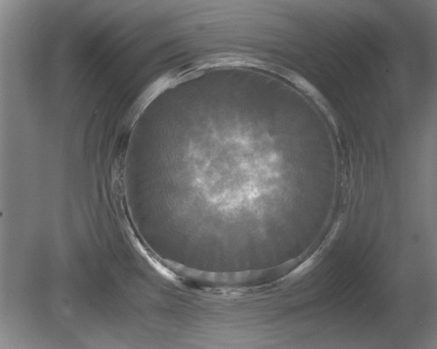 X0000078861385200611201302