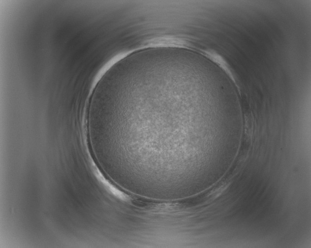 X0000078861387200611201302