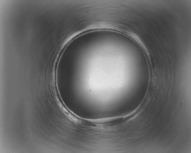 X0000078861388200611201302