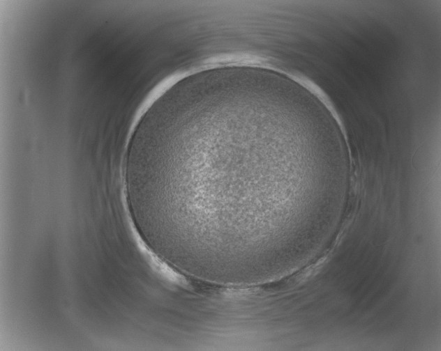 X0000078861389200611201302