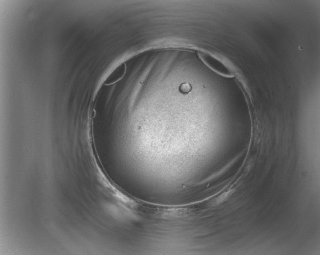 X0000078861390200611201302