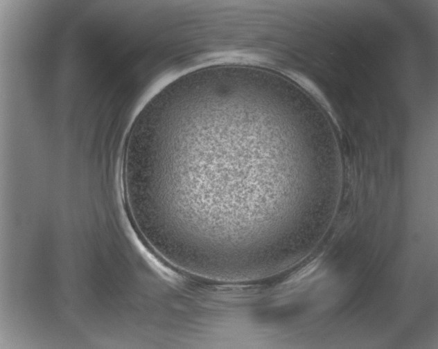 X0000078861391200611201302