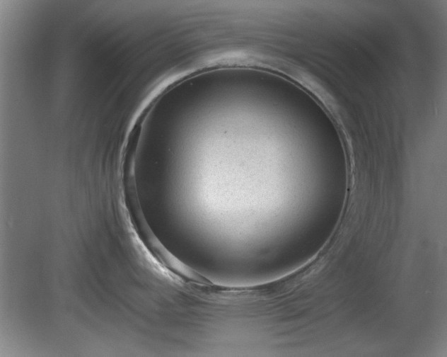 X0000078861392200611201302