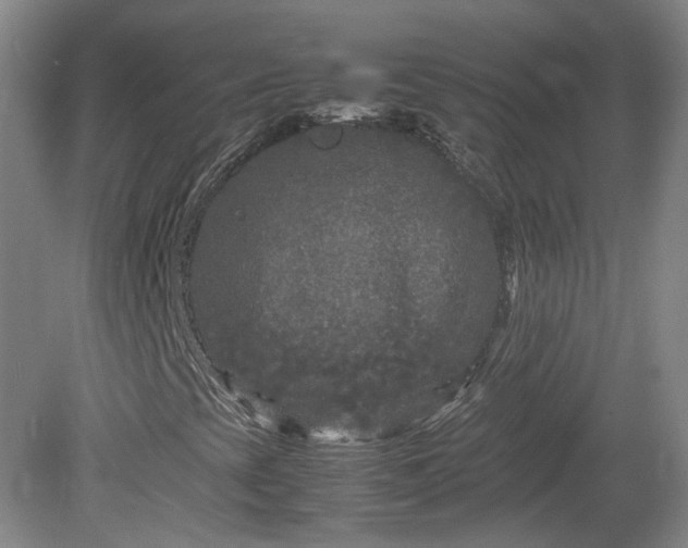 X0000078861393200611201301