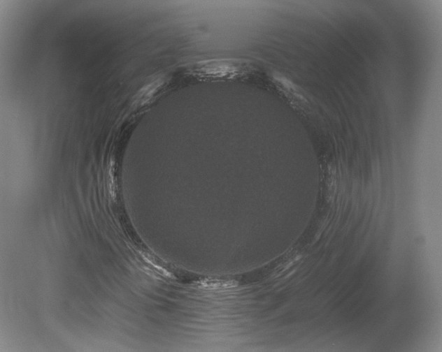 X0000078861394200611201301