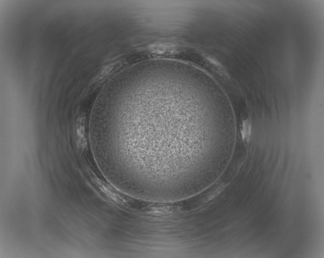 X0000078861396200611201301