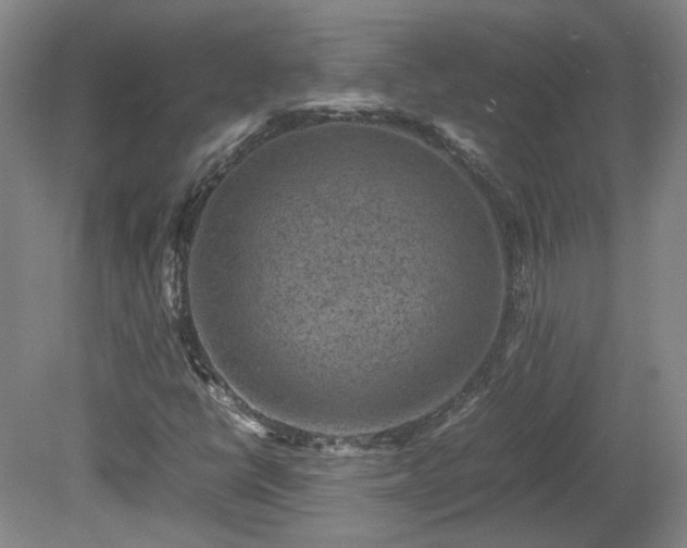 X0000078861398200611201301