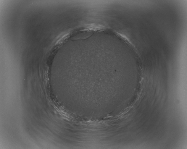 X0000078861399200611201301