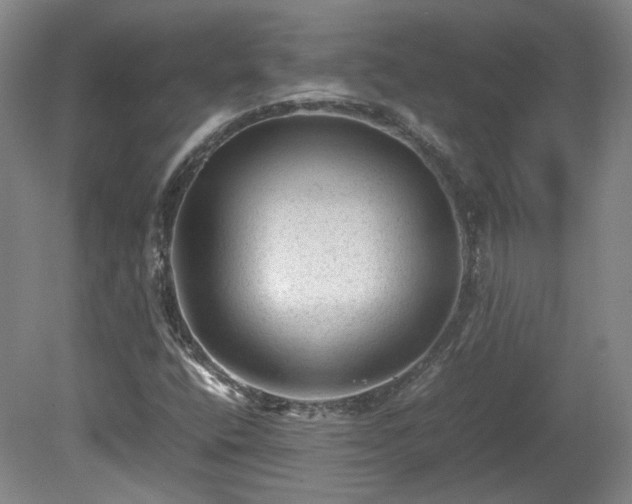 X0000078861400200611201301