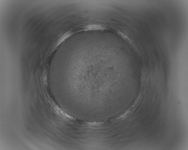 X0000078861401200611201301