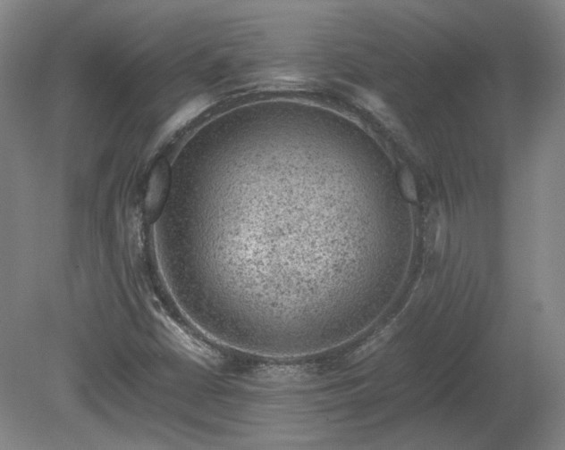 X0000078861402200611201301