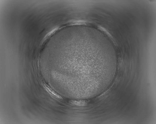 X0000078861403200611201301