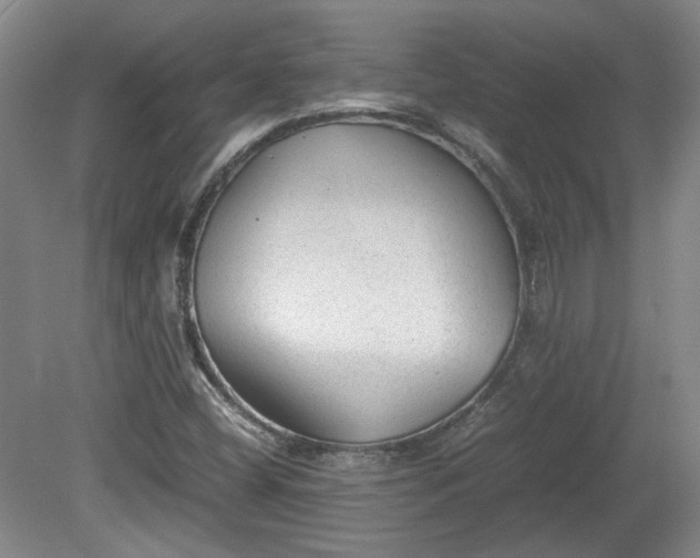 X0000078861404200611201301