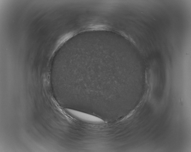 X0000078861405200611201301