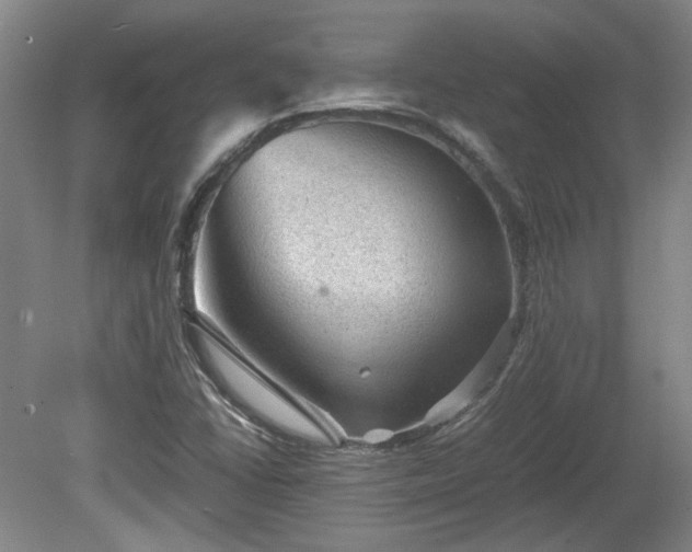 X0000078861406200611201301