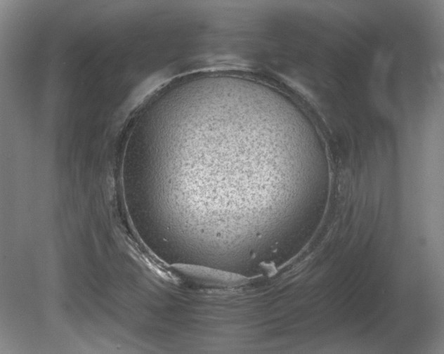 X0000078861407200611201301