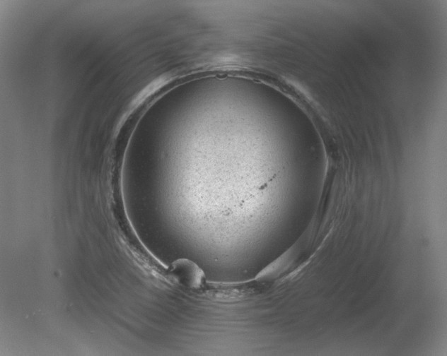 X0000078861410200611201301