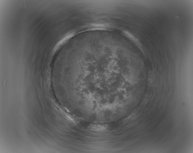 X0000078861411200611201301