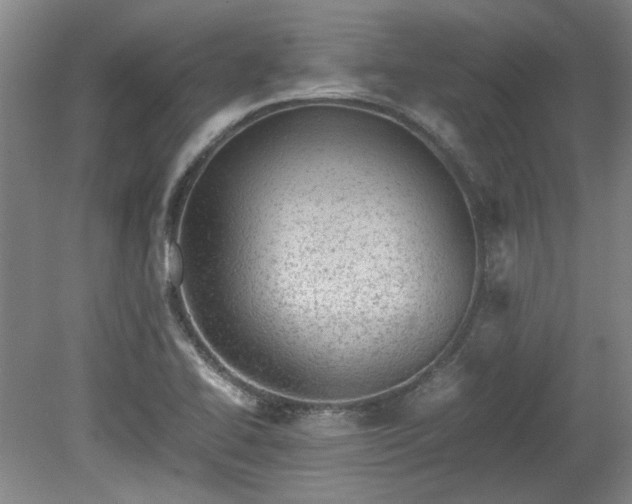 X0000078861414200611201301