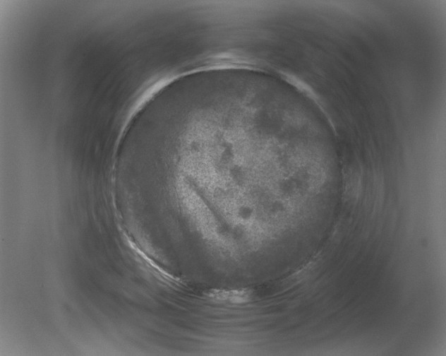 X0000078861415200611201301