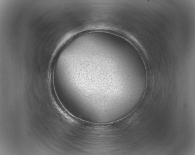 X0000078861416200611201301