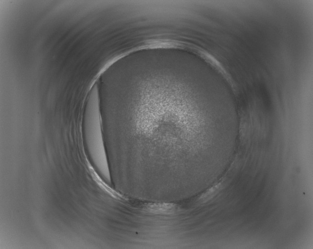 X0000078861417200611201301