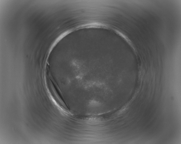 X0000078861418200611201301