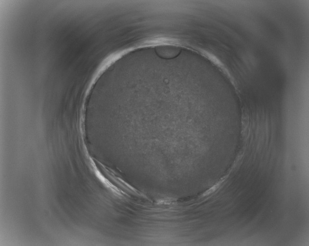 X0000078861421200611201302