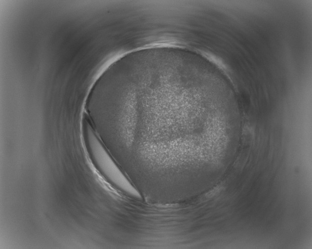 X0000078861423200611201302
