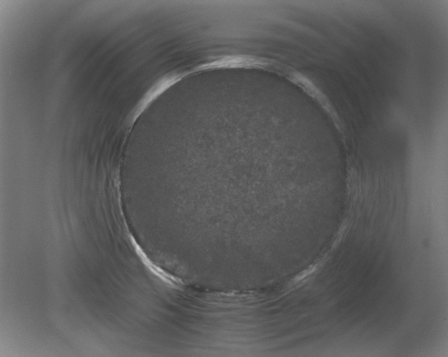 X0000078861425200611201302